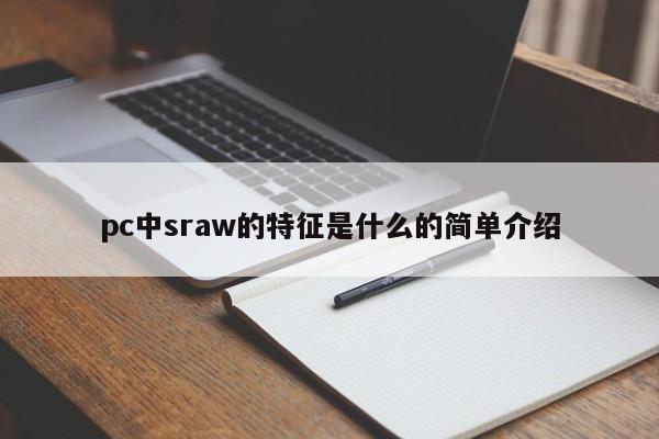 pc中sraw的特征是什么的简单介绍