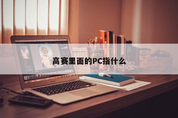 高赛里面的PC指什么