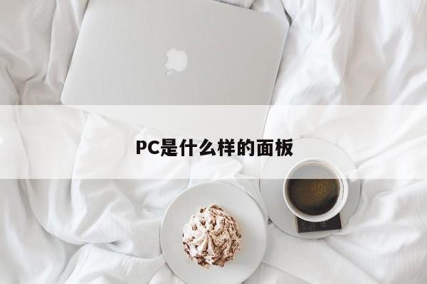 PC是什么样的面板