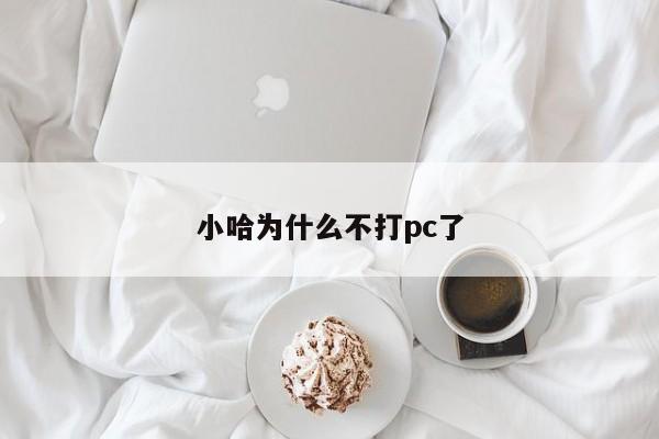小哈为什么不打pc了