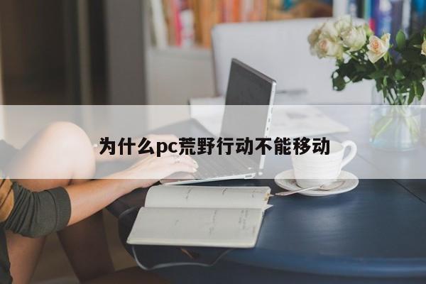 为什么pc荒野行动不能移动