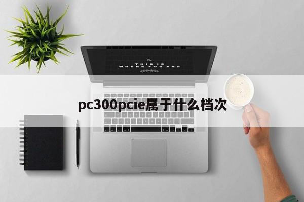 pc300pcie属于什么档次