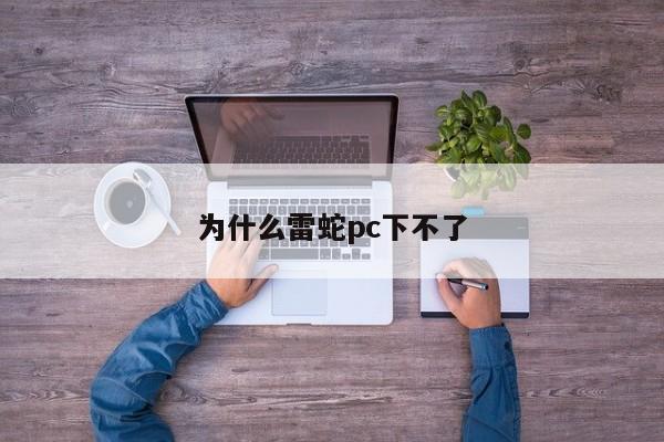 为什么雷蛇pc下不了