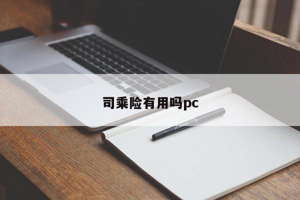 司乘险有用吗pc
