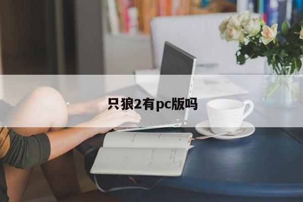 只狼2有pc版吗