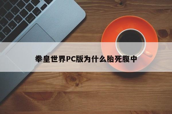 拳皇世界PC版为什么胎死腹中