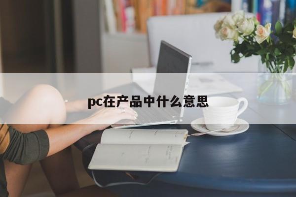 pc在产品中什么意思